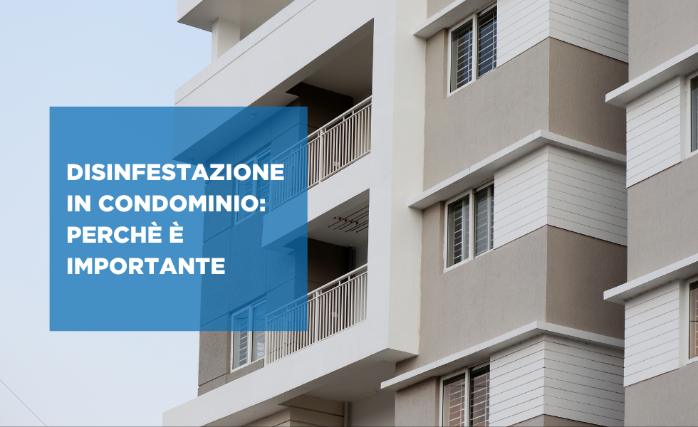 disinfestazione in condominio_ perchè è importante modena