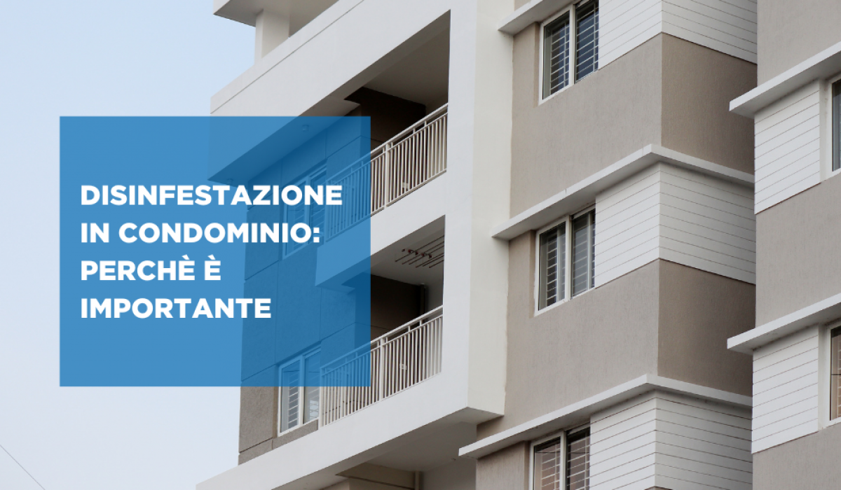 disinfestazione in condominio_ perchè è importante modena