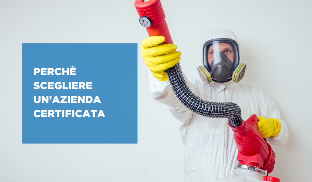 disinfestazioni modena
